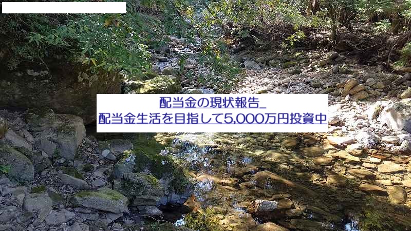 配当金の現状報告_配当金生活を目指して5,000万円投資中